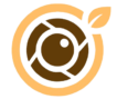 logo stat new